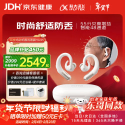 科大讯飞 【东哥同款】耳挂式助听器老年人耳聋耳背专用隐形年轻人 鸿语05