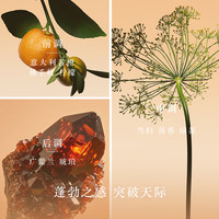 EMPORIO ARMANI/阿玛尼 王嘉尔同款 香水 50ml