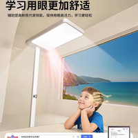 督牌 落地台灯护眼学习专用大路灯防近视儿童小学生写字作业全光谱阅读