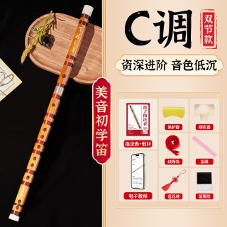 美音专业笛子初学者竹笛乐器精制入门e横笛演奏级g调f儿童c