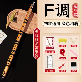 美音专业笛子初学者竹笛乐器精制入门e横笛演奏级g调f儿童c