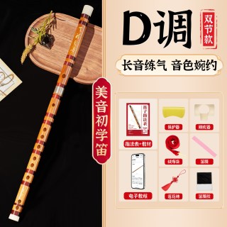 美音专业笛子初学者竹笛乐器精制入门e横笛演奏级g调f儿童c