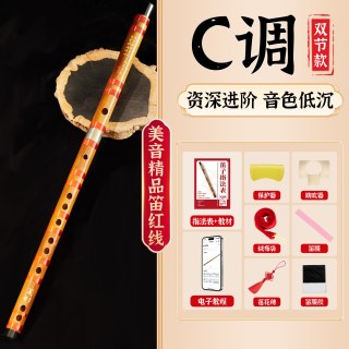 美音专业笛子初学者竹笛乐器精制入门e横笛演奏级g调f儿童c