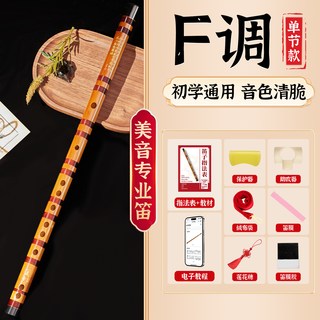 美音专业笛子初学者竹笛乐器精制入门e横笛演奏级g调f儿童c