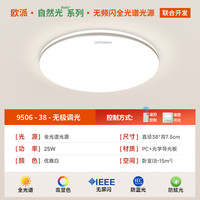 WZGL 全光谱高亮护眼 LED吸顶灯 20㎡以下