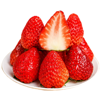 京觅 丹东草莓99红颜奶油水果黑/红礼盒净重 28枚装单果30g+源头直发 【年货礼盒】优选28枚巨无霸30g+