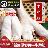 忆回牛新鲜 牛蹄筋 生鲜批发牛筋蹄筋生牛脚筋牛蹄筋儿牛大筋冷冻牛板筋 2斤 新鲜牛蹄筋