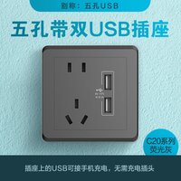 西蒙开关插座C20系列simon雅白色暗装五孔面板工程 五孔带USB插座(灰)