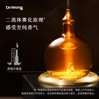 DrWong金与火冷香仪家用充电雾化精油香薰机复古自动扩香机 单机（仅机器，不含精油）