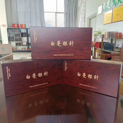 瑞锦成 厂家直销福建白茶5g*20包