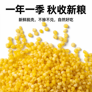 绿之坊 敖汉黄小米 5斤 袋装
