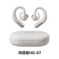 科大讯飞 鸿语版 耳背式助听器