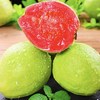 广西软糯红心芭乐新鲜水果番石榴脆甜软糯整箱低糖香甜芭乐