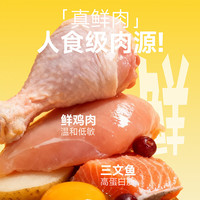神兽觉醒 全价鲜肉猫粮 鸡肉味 100g