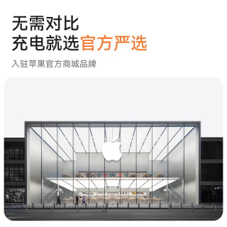 ANKER安克×黑神话45W常规IP+【45W屏显安心充，智能识别苹果17/iPhone17系】充电器头氮化镓超低温快充 【45W安心充常规款-白】专充苹果17全系|氮化镓