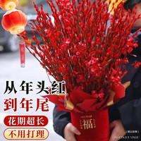 爱你一万年 2026新年福桶装饰摆件银柳真花鲜枝宵花卉 银柳45cm30支（福桶12口径+4灯笼+10挂件
