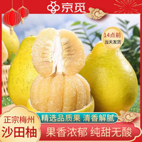 移动端、京东百亿补贴：京觅 梅州沙田柚 金柚 8-9斤 新鲜柚子