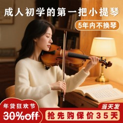 圣维斯 SW225 小提琴 (4/4尺寸身高150以上)