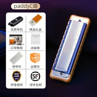 嘉德瑞 芝加哥 Chicago 布鲁斯蓝调十孔口琴 10孔 C调 初学者 Paddy