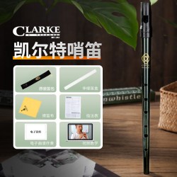 CLARKE 凯尔特 D调 锡笛 竖笛 乐器（送原装笛袋+擦琴布+指法表+笛盒）