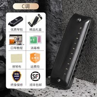 嘉德瑞 NinJa 10孔布鲁斯口琴（Paddy C调 初学推荐）