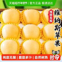 88VIP：寻天果蔬 山东烟台 维纳斯苹果 3.5斤/箱