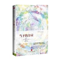 当下的力量（珍藏版） 埃克哈特托利 堪称心灵读物经典书籍