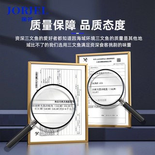  掬芥 冰鲜 三文鱼刺身