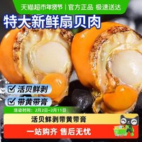88VIP：卖鱼郎先生 青岛 扇贝肉 250g 袋装 冷冻