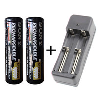 索尼索尼sony3.7V18650充电锂电池3000毫安强光手电筒风扇动动力电芯 2节平头+充电器