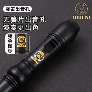 SMART思玛特竖笛小26BX10高音8孔英式B巴洛克八孔C调德式 【专业款】英式B八孔26BX10+教材书