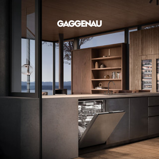GAGGENAU 400系列 60cm宽 嵌入式洗碗机