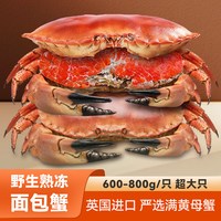 拓食 TOUSH'S 拓食 英国进口野生熟冻超大面包蟹 400-800g
