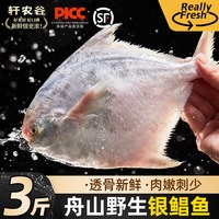 轩农谷 浙江 银鲳鱼 1-2两/条 5-6条/斤 3斤装 冷冻