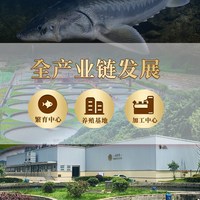 芙思塔鲟鱼片新鲜免浆纯肉无刺家常方便菜火锅食材鲟鱼片200g/袋