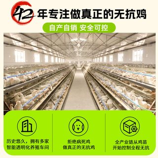大用好味道 鸡翅中 清真无添加 500g