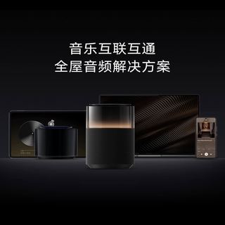 小米 Sound Pro 智能AI立体声 黑色 蓝牙音箱