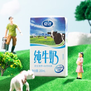 88VIP：夏进 纯牛奶盒装宁夏奶源奶 200ml*24盒