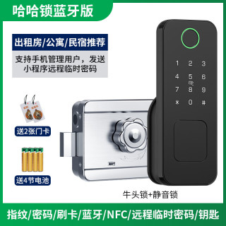 ANDUDU/安将军 老式牛头锁改装智能锁 电子锁