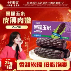 十月稻田 东北黑糯玉米 2kg 箱装 真空低脂粗粮主食早餐