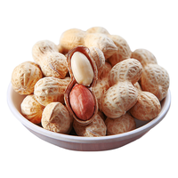 琦王花生果带壳坚果炒货休闲零食小吃原味炒花生米下酒菜特产干果 花生果230g原味*2袋