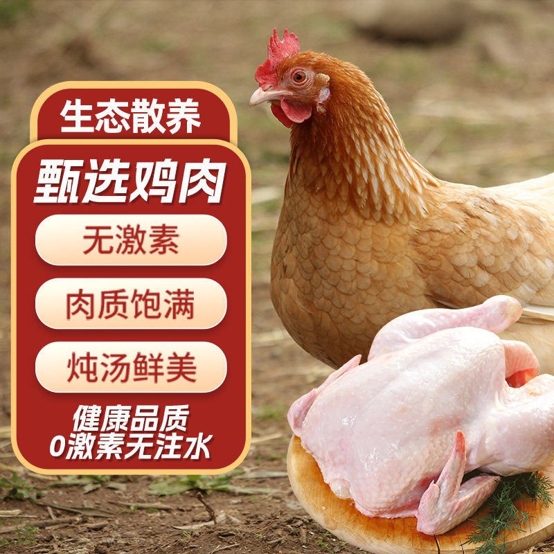  恋味儿 农家散养 三黄鸡