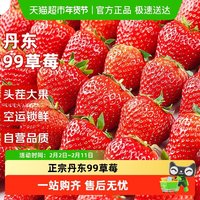 88VIP：寻天果蔬 丹东红颜草莓 450g/盒