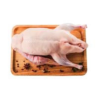 大用老鸭子土鸭农家散养鸭肉新鲜整只老水鸭冷冻鸭子生鲜