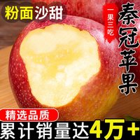 绿念 陕西 秦冠苹果 70mm-75mm 9斤