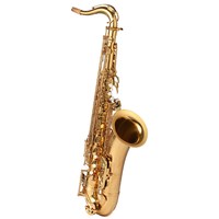 萨尔特 SP-6900 次中音萨克斯（进口金铜）