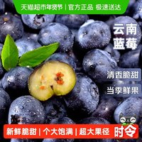 88VIP：寻天果蔬 云南高山蓝莓头茬鲜果特大果蓝莓应当季新鲜水果整箱4盒每盒 115g
