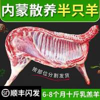 口水时代 山东青岛 羔羊肉 2斤原切带肉羊蝎子