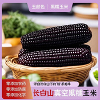 玉颜色 中国大陆 长白山黑糯玉米 220g*10支