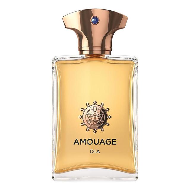 AMOUAGE Dia迪亚 男士浓香水 EDP 100ml